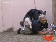 A young blonde who is tied up and being raped by a big dog outside